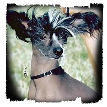 Man-ly De lou Simbeo