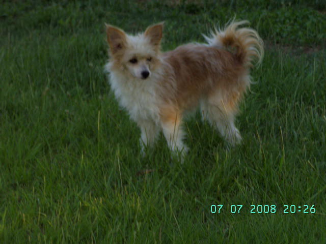 Bayala De lou Simbeo