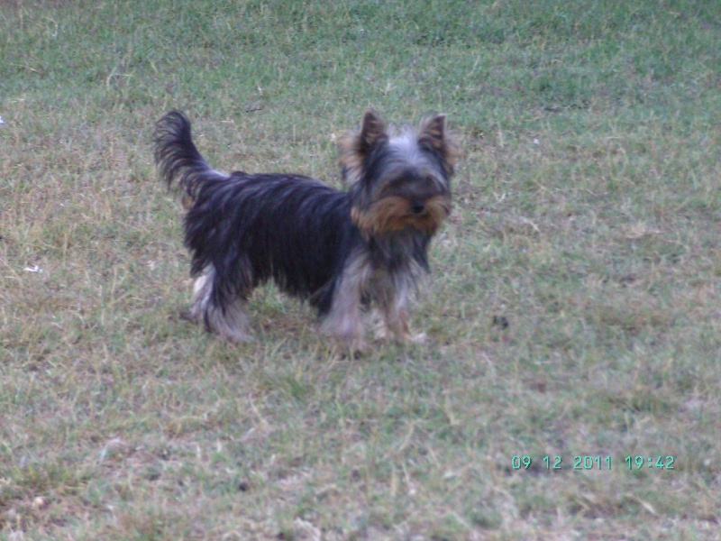Graceful De lou Simbeo