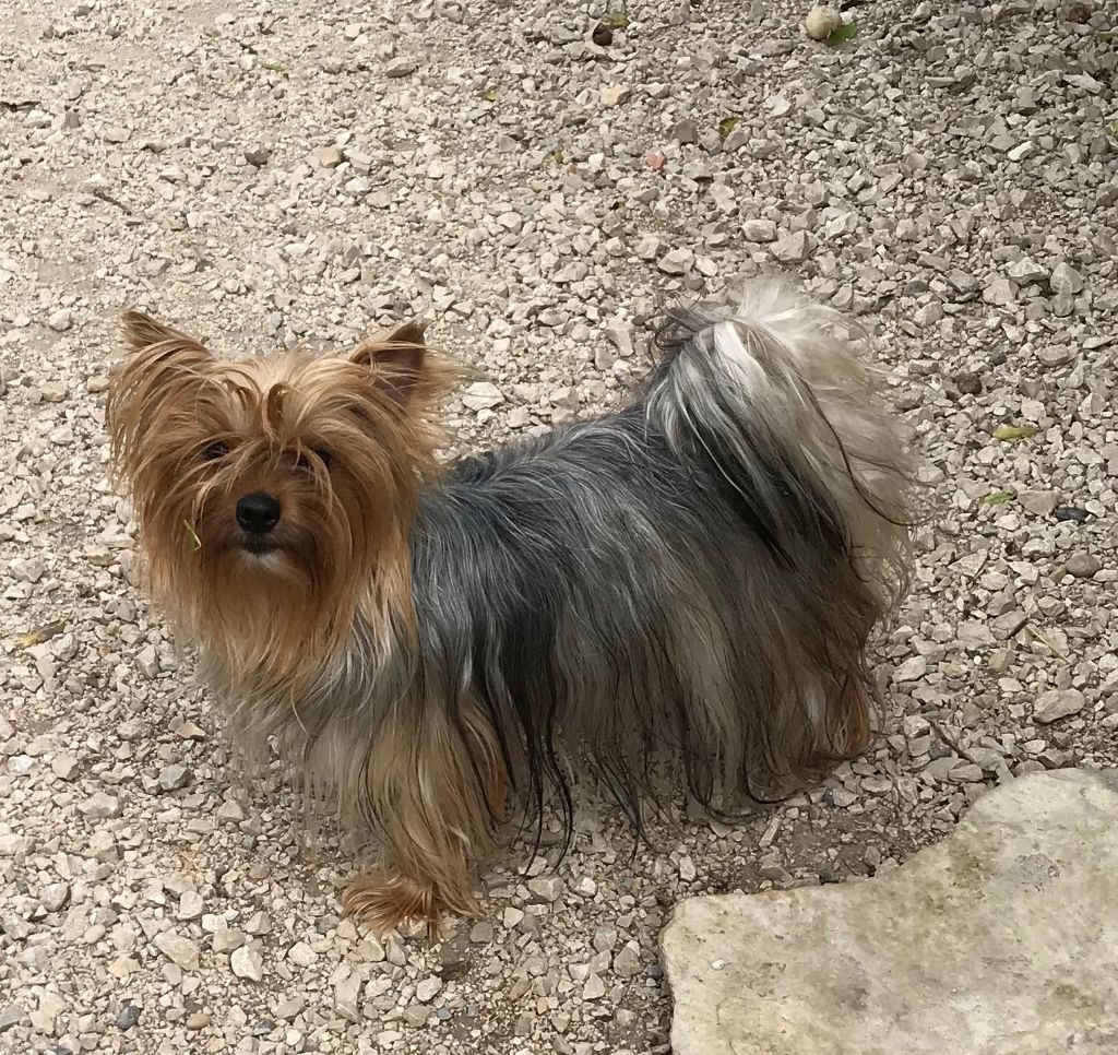 Penny De lou Simbeo